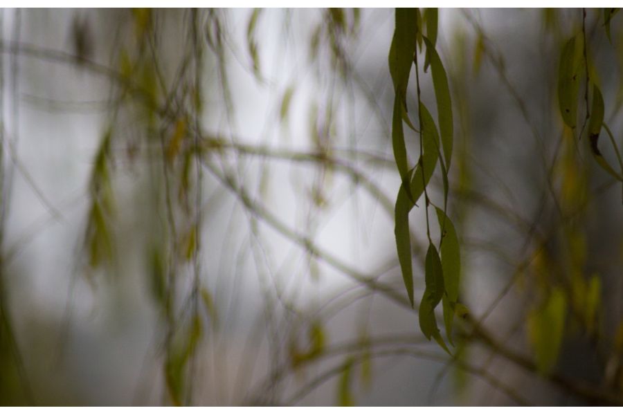 Spezial-Reflexon Auto 135mm f/2.8 Japan