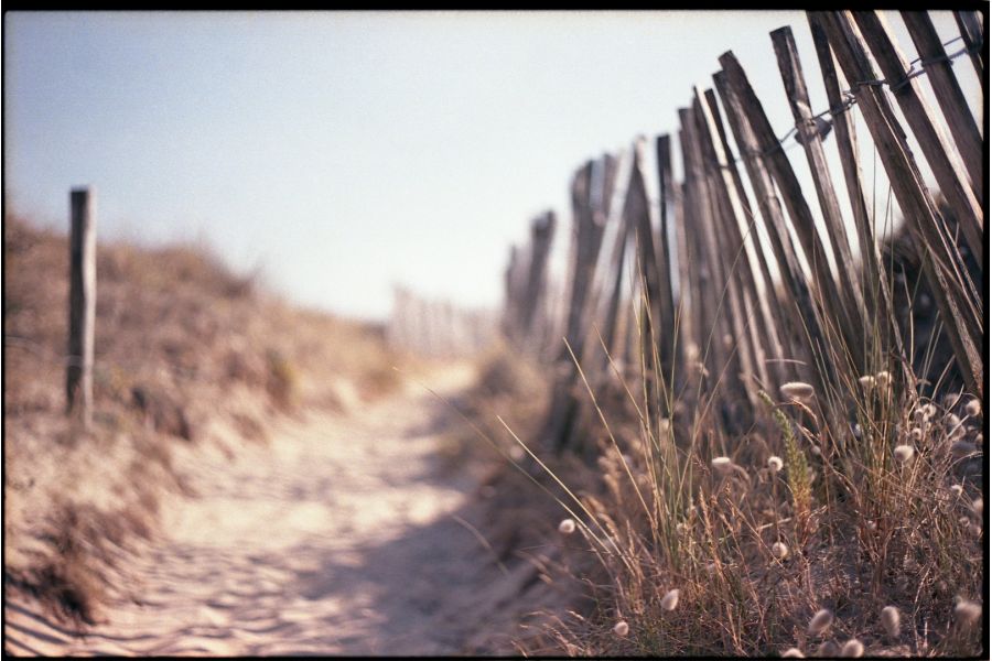 Yashica ML 2/50 (Japan, 1983)