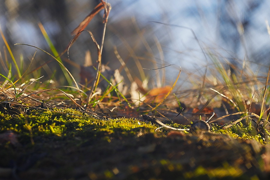 Meopta Anaret 4,5/50