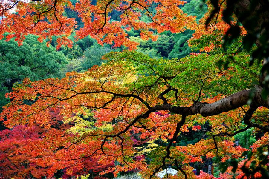 Pentax-FА SMC 28-80mm f/3.5-5.6 в упаковке