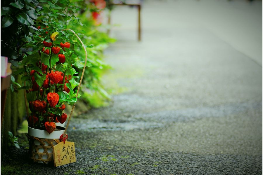 Pentax-FА SMC 28-80mm f/3.5-5.6 в упаковке