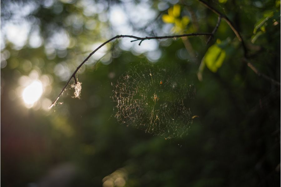 Pentax-FА SMC 28-80mm f/3.5-5.6 в упаковке