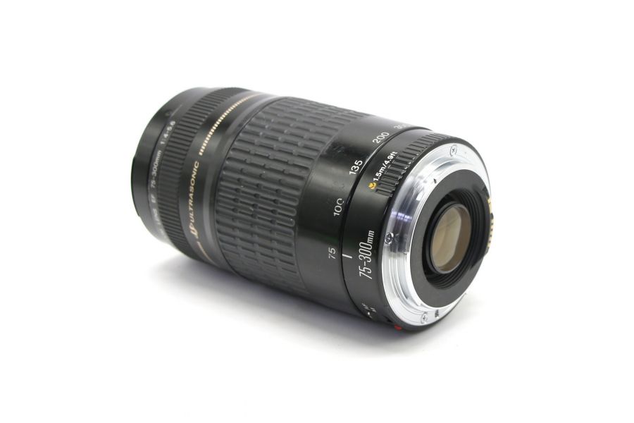 Canon EF 75-300mm f/4-5.6