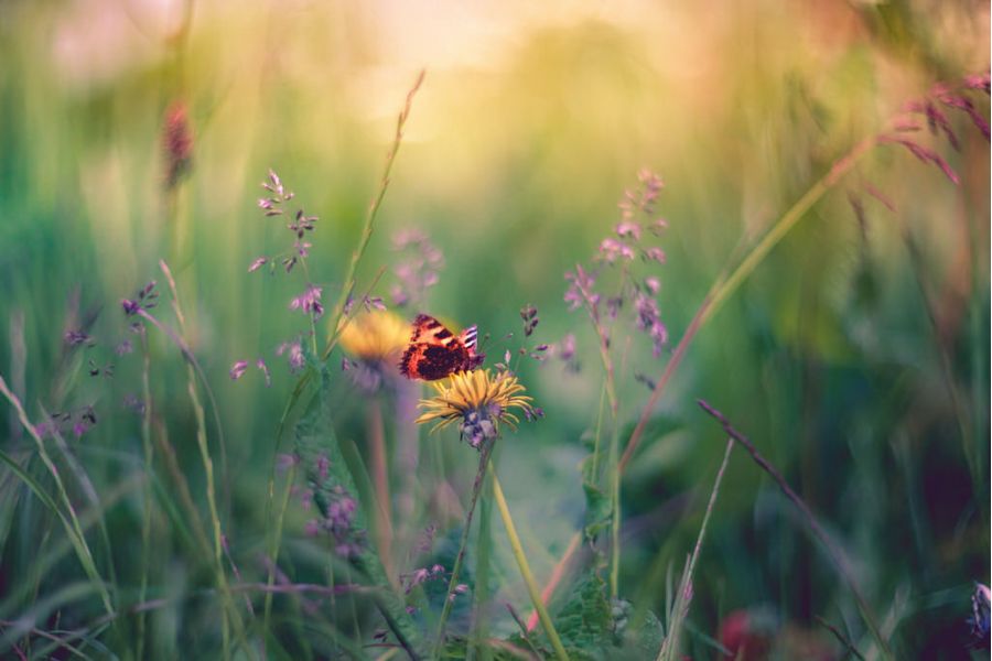 Гелиос-40-2-Н 1,5/85