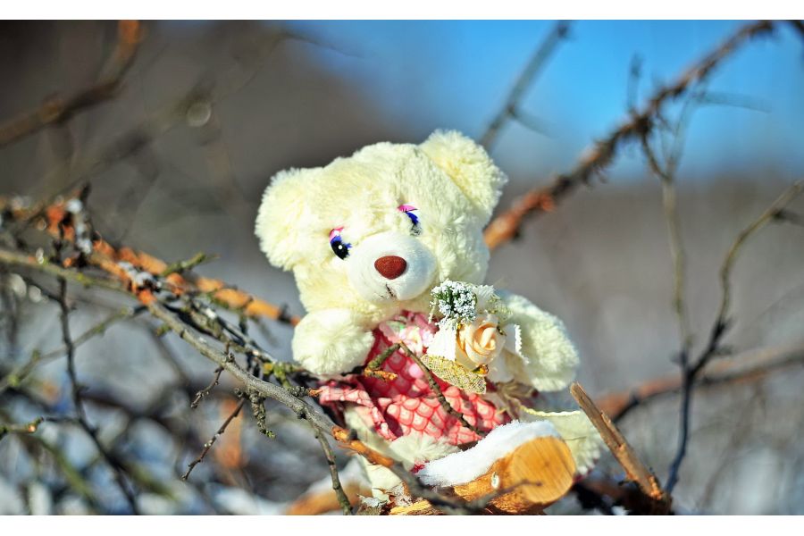 Гелиос 2/92 М42