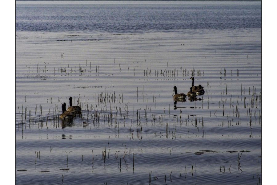 Kiron MC 70-150mm f/4 Macro