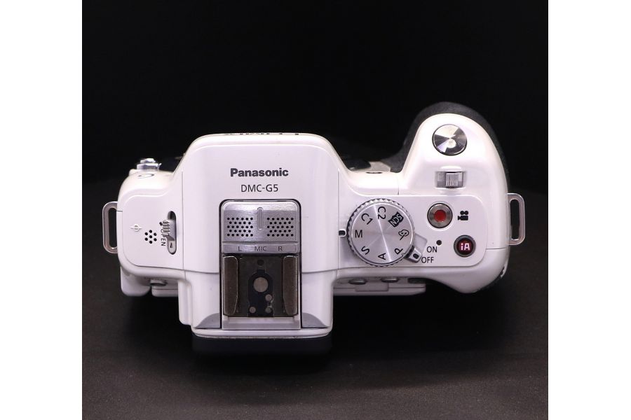 Panasonic Lumix DMC-G5 body
