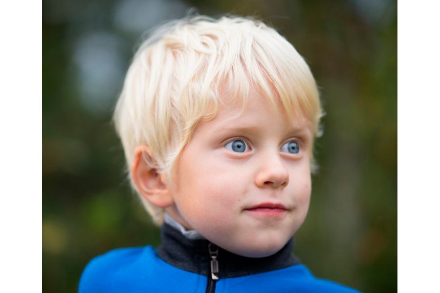 Sonnar 85mm f/1.8 T* Carl Zeiss Batis