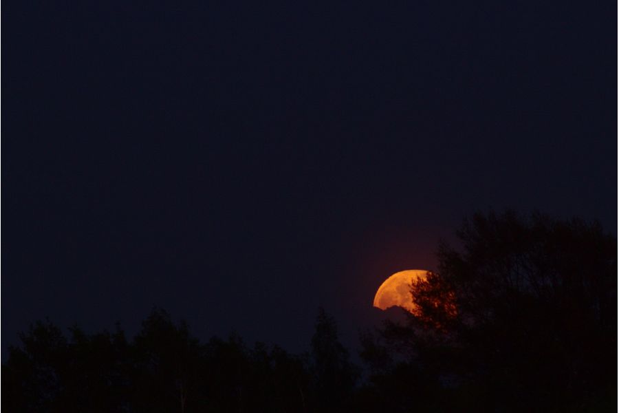 Orestegor 4/200 Meyer-Optik Gorlitz 