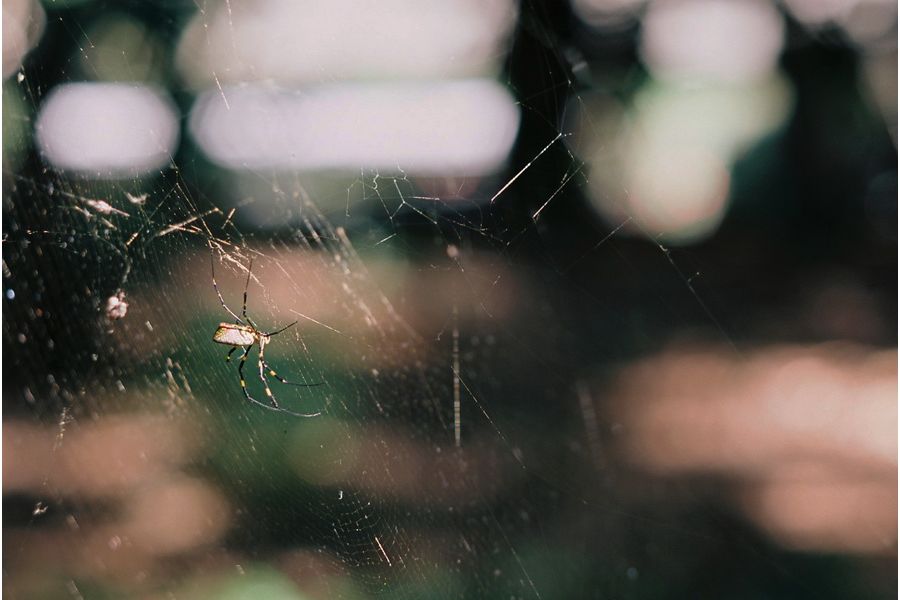 Takumar 2.8/105 Asahi Opt. Co. (Japan, 1959 г)