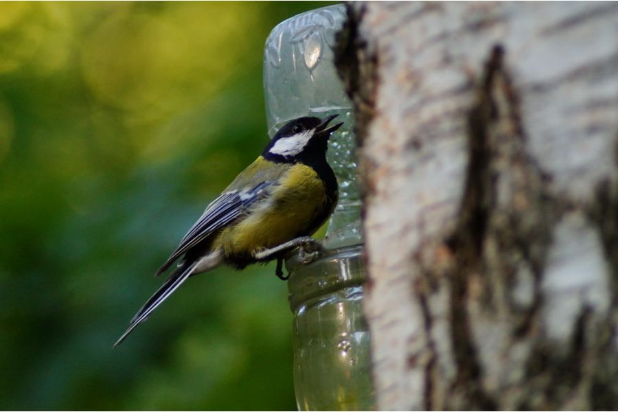 Pentacon auto 4/200 MC (Germany, 1977)