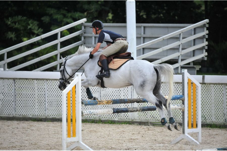 Olympus OM-System Zuiko Reflex 500mm f/8