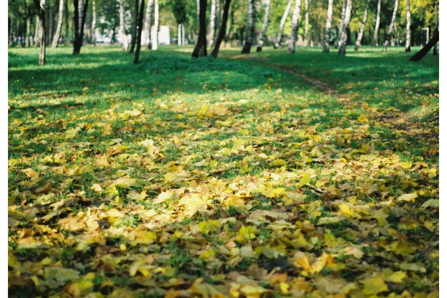 Объектив Pentax-A SMC 2/50mm (Japan, 1997)