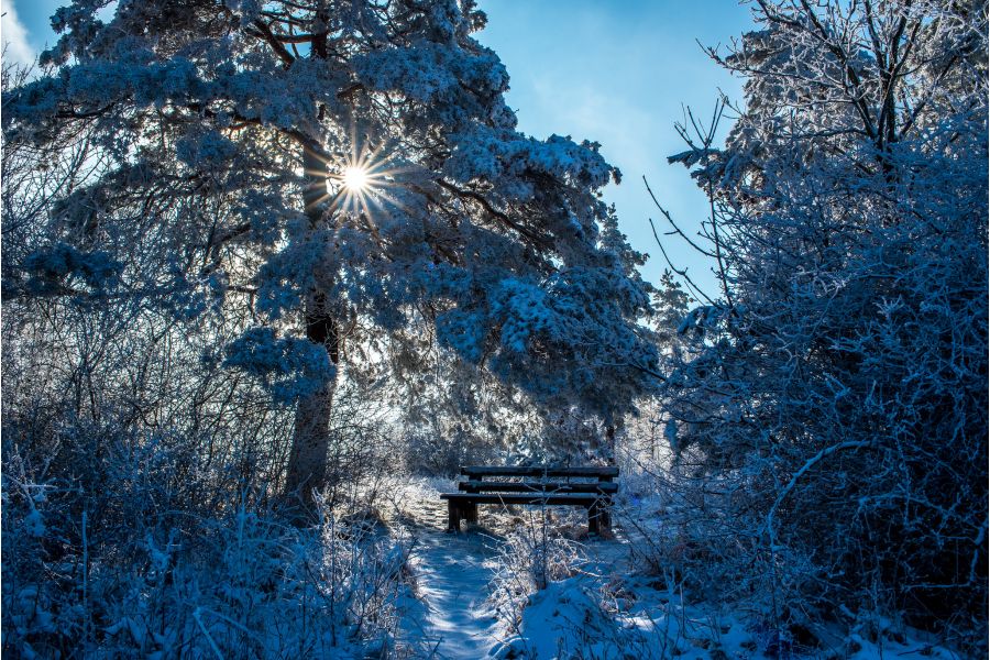 Distagon T* 2.8/15 ZF2 Carl Zeiss