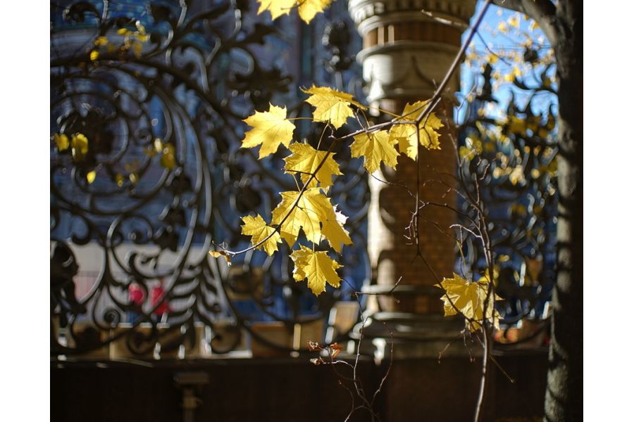 Pentax-FA SMC 43mm f/1.9 Limited в упаковке