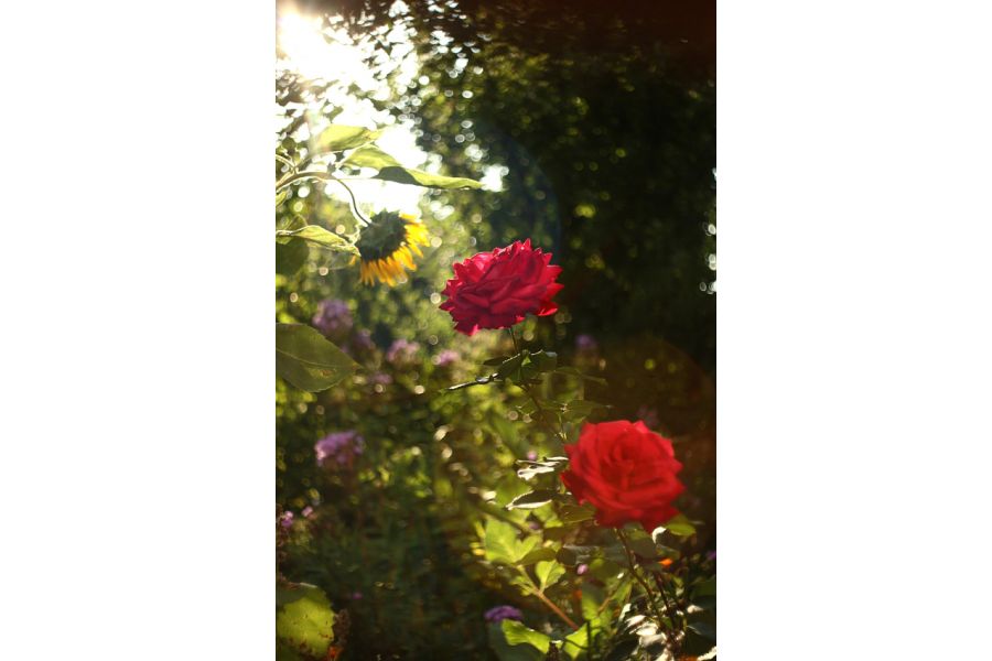 Мир-1 2.8/37 black GPB М42 (СССР, 1958г)