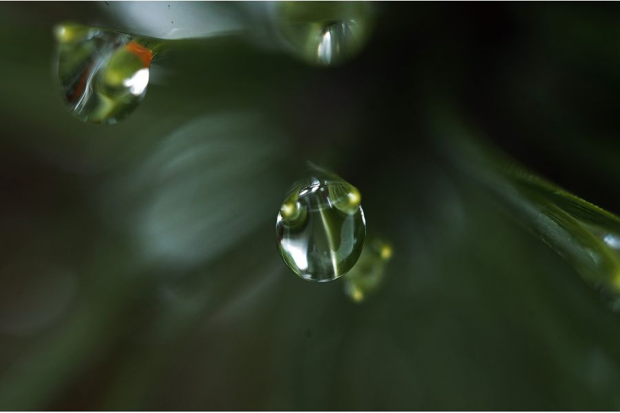 Мир-1 2.8/37 black GPB М42 (СССР, 1958г)