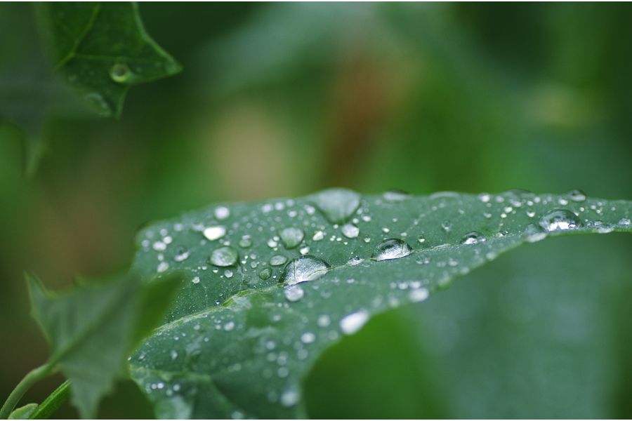 Tamron SP AF 90mm f/2.8 Di Macro в упаковке Pentax K