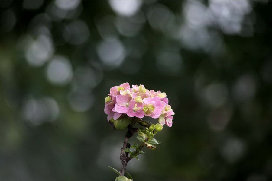 Вариообъектив Гранит-11Н МС 4,5/80-200 в упаковке