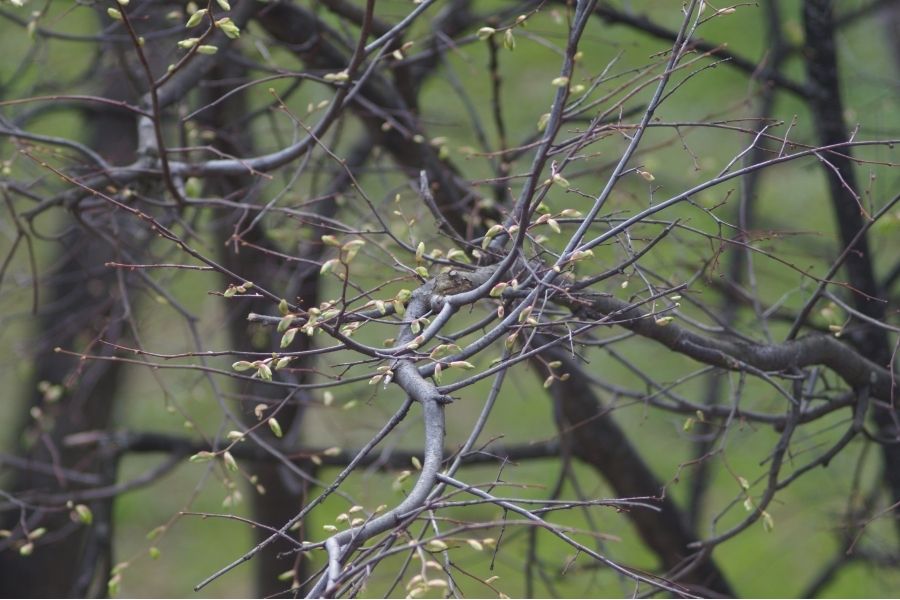 Юпитер-36Б 3.5/250 в упаковке