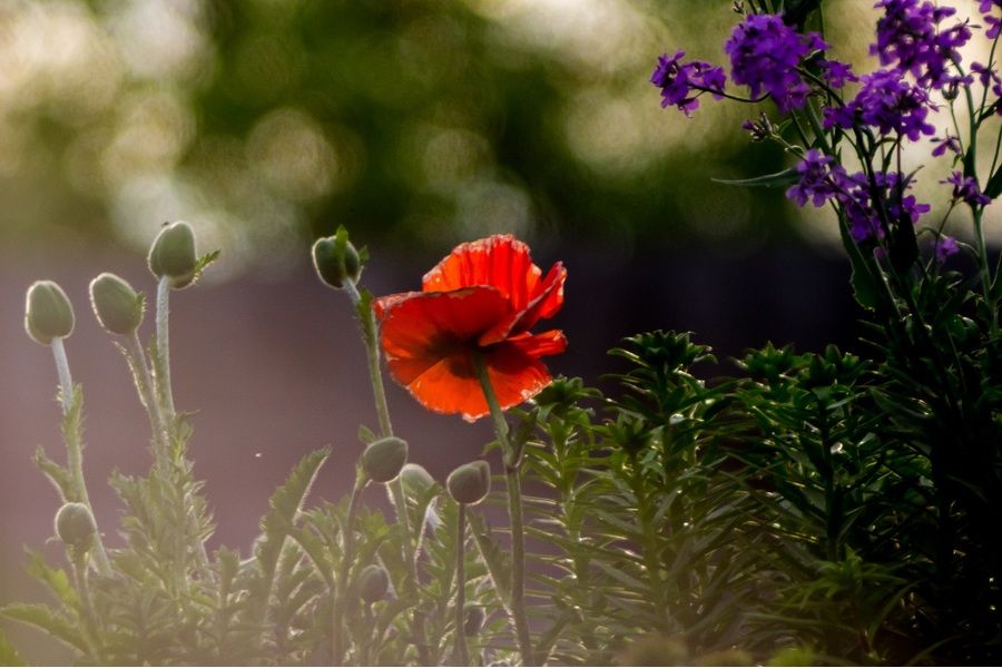 Юпитер-36Б 3.5/250 в упаковке