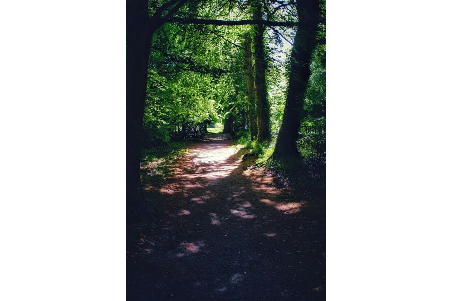 Super Albinar SC Auto 4/85-200mm (Japan, 1982)