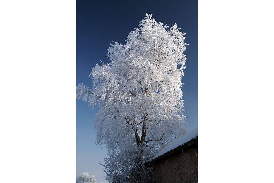 Olympus M.Zuiko Digital 14-42mm f/3.5-5.6 II MSC