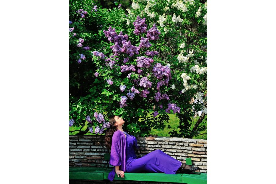 Nikon 70-200mm f/2.8E FL ED VR AF-S Nikkor