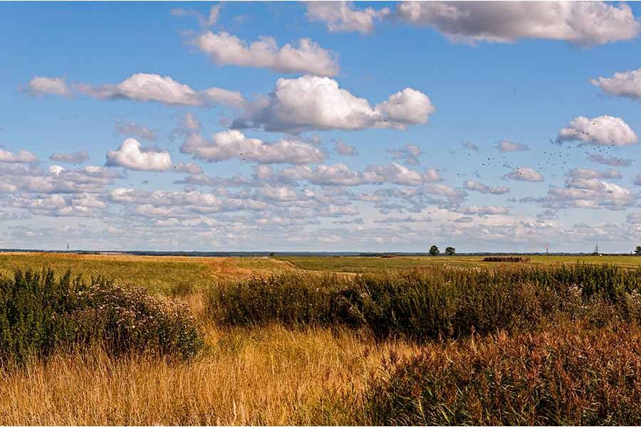 Sigma AF 17-70mm f/2.8-4 DC MACRO OS HSM Nikon F