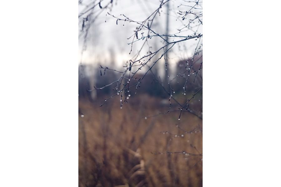 Триплет Т-22 4.5/75мм (СССР, 1950г.)