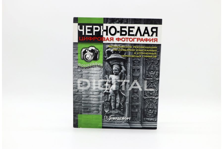 Черно-белая цифровая фотография Бирдсворт Д.