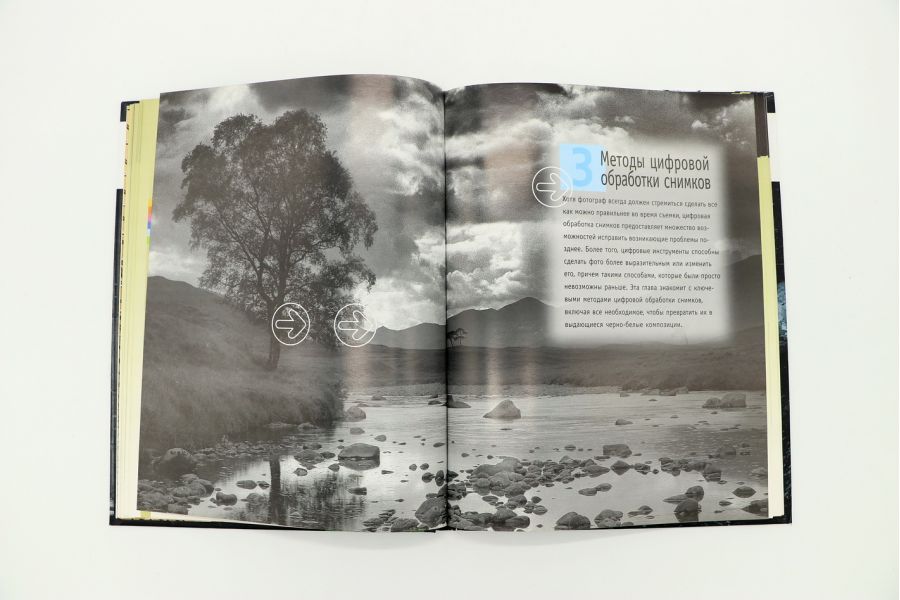 Черно-белая цифровая фотография Бирдсворт Д.