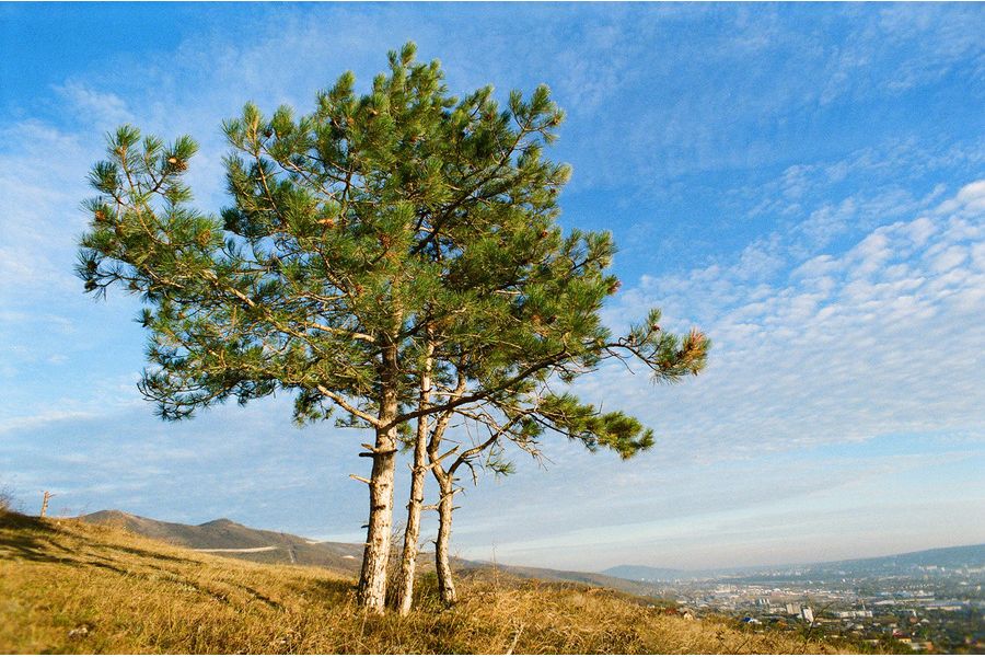 Мир-47М МС 2,5/20