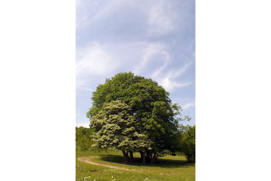 Мир-47М МС 2,5/20