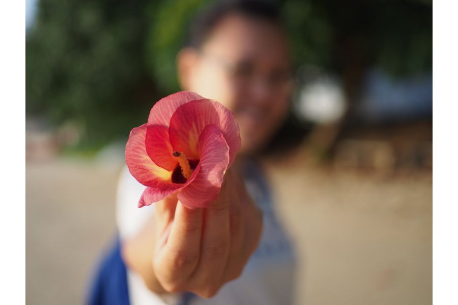 Wesley WSL 24mm f/1.4