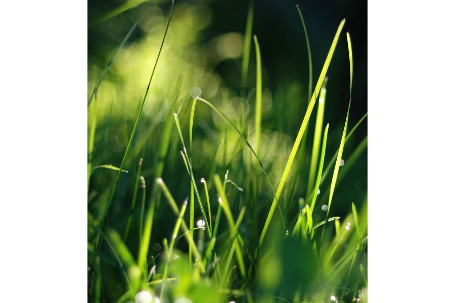 Волна-3 МС 2,8/80 для Canon EF