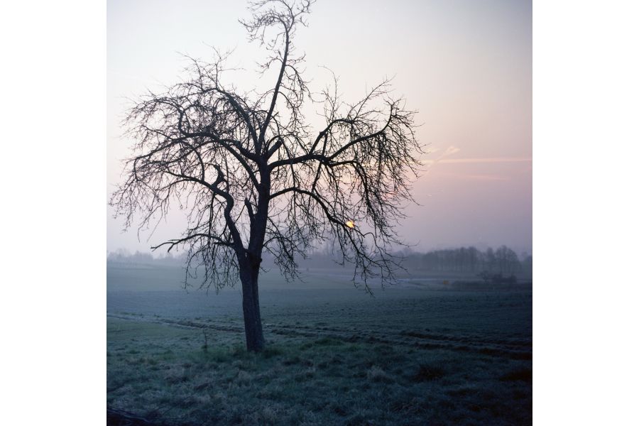 Волна-3 МС 2,8/80 для Canon EF