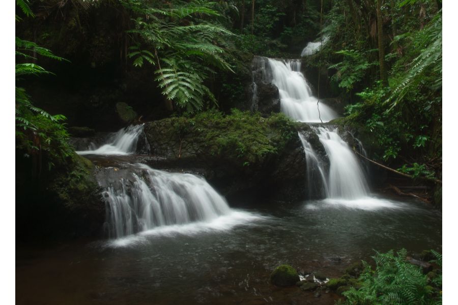 Voigtlander 28-210mm f/4.2-6.5 VMV APO-Zoomar