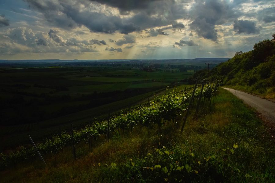 Sony 10-18mm f/4 (SEL-1018)