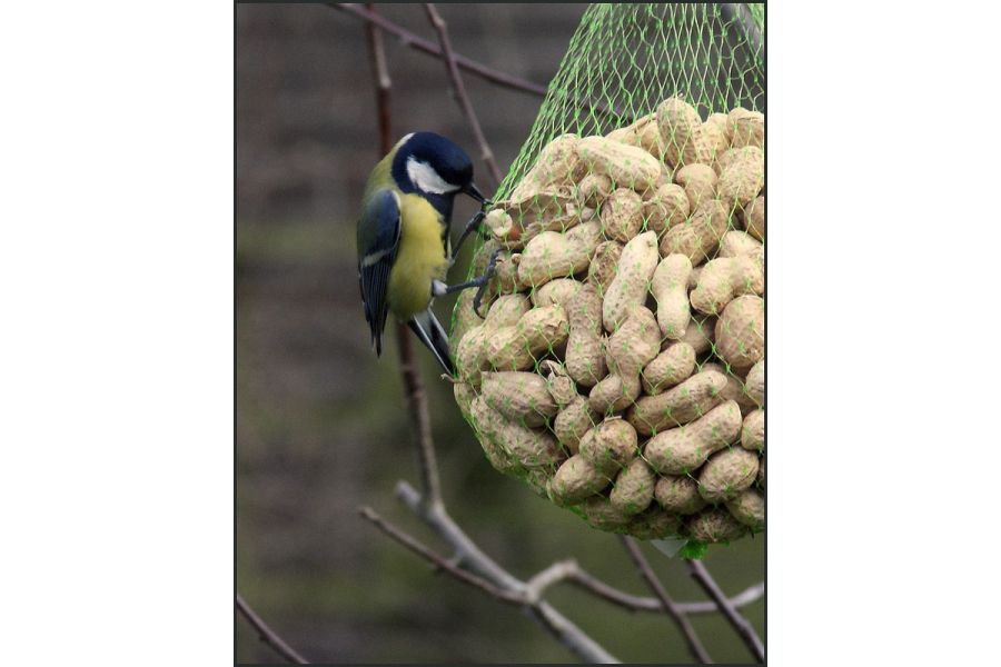 Olympus 70-210mm f/3.5-4.5 PF Zoom