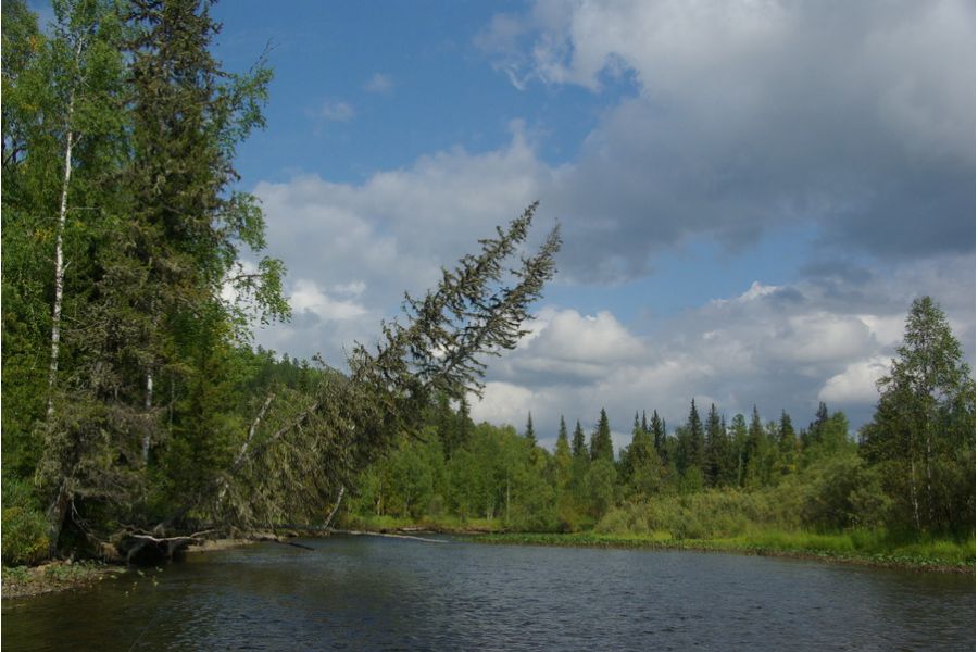 Tamron AF 18-250mm f/3.5-6.3 Di II LD Aspherical (IF) (A18) Nikon F