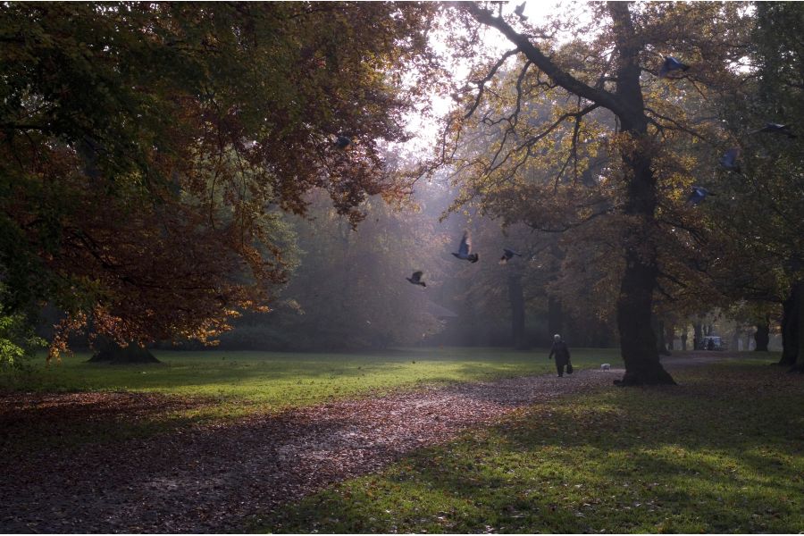 Pentax DA 40mm f/2.8 Limited HD