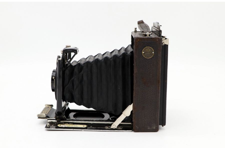 ICA Nelson Akt GeS Dresden