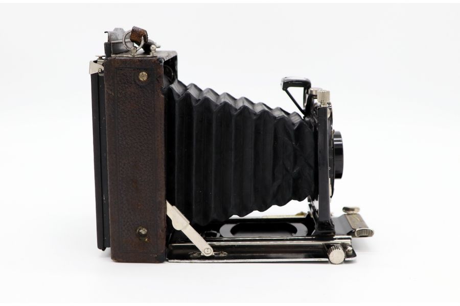 ICA Nelson Akt GeS Dresden