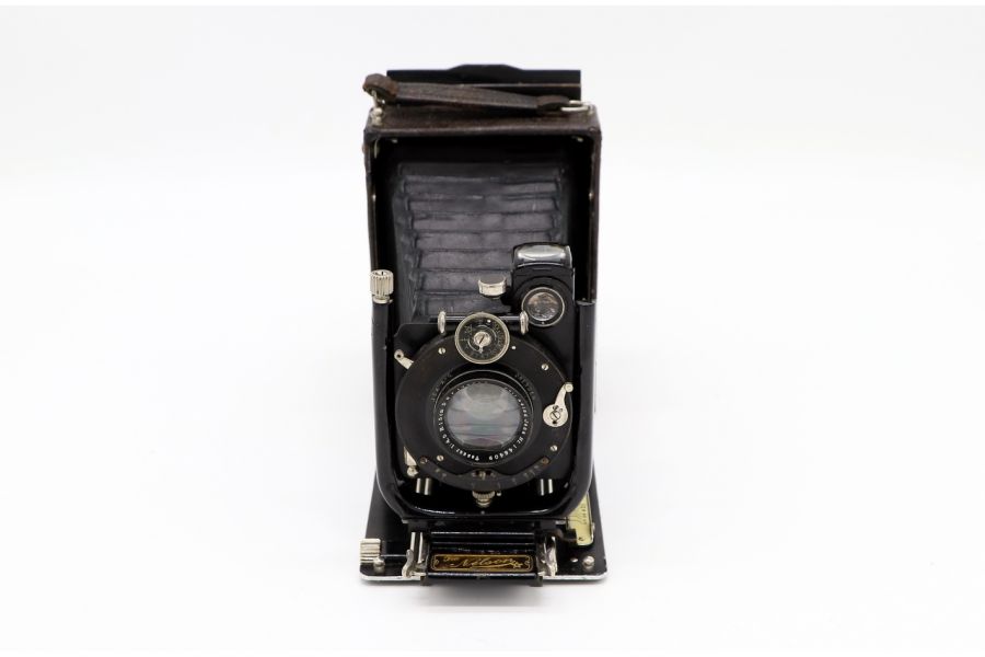 ICA Nelson Akt GeS Dresden