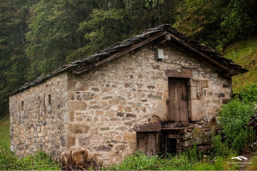 Вега-30У 4/80 (АОМЗ, 1992)