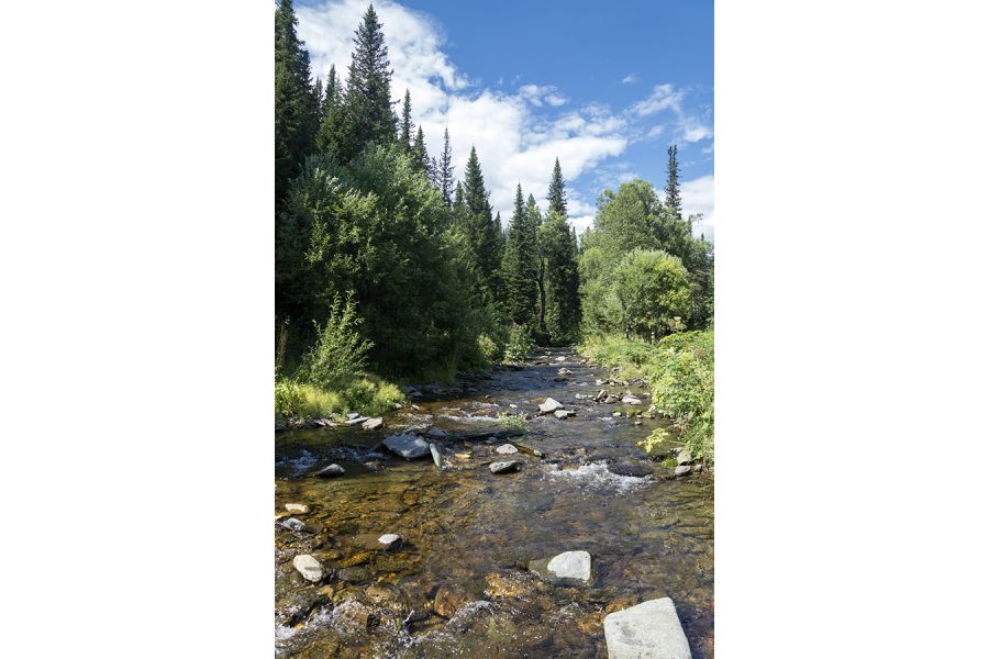 Sony DT 16-50mm f/2.8 SSM (SAL-1650) в упаковке