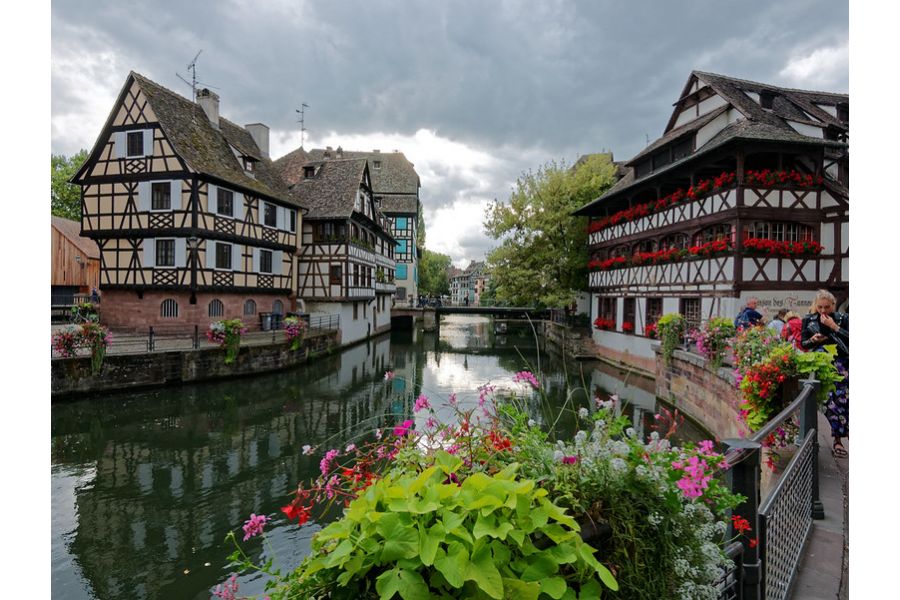 Panasonic Lumix G Vario 4/7-14mm Asph.