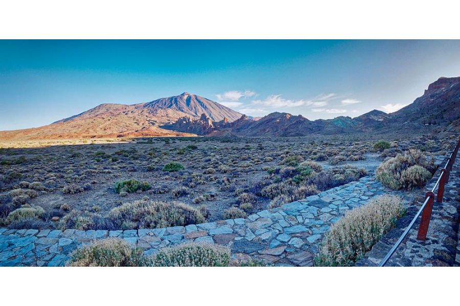 Panasonic Lumix G Vario 4/7-14mm Asph.