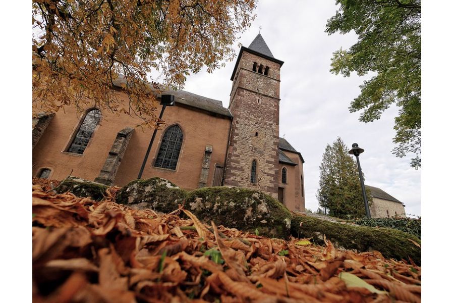 Panasonic Lumix G Vario 4/7-14mm Asph.